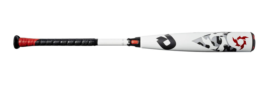 Baseball Bat Z699475
