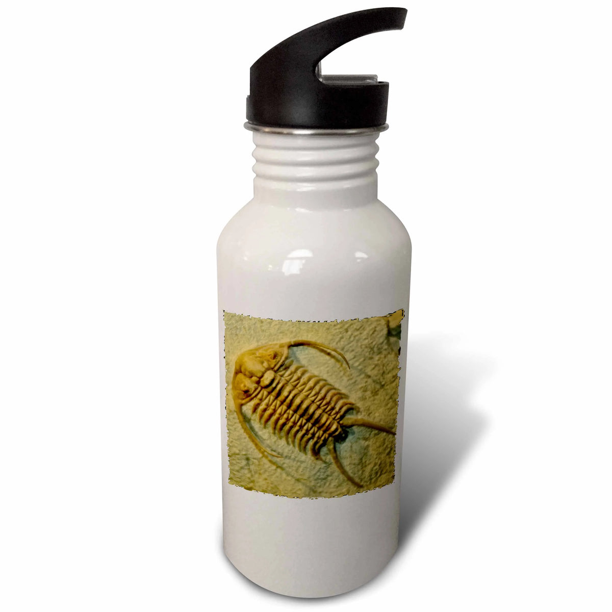 Sports Water Bottle 21 oz H636