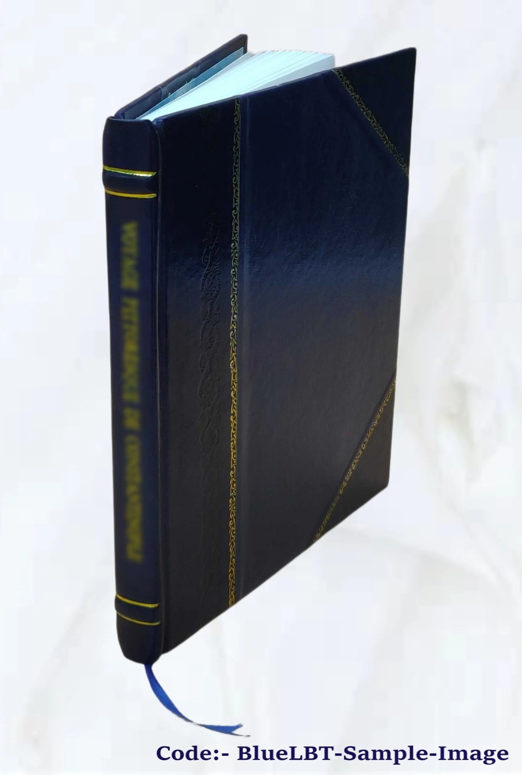 Genealogical Biography of Charles T. and Mary E. Clark Andrews D97848