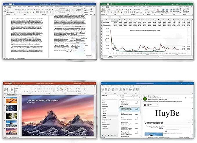 Office 2019 Professional Plus for 1 PC, 32/64-bit, Pack of 2 P466481