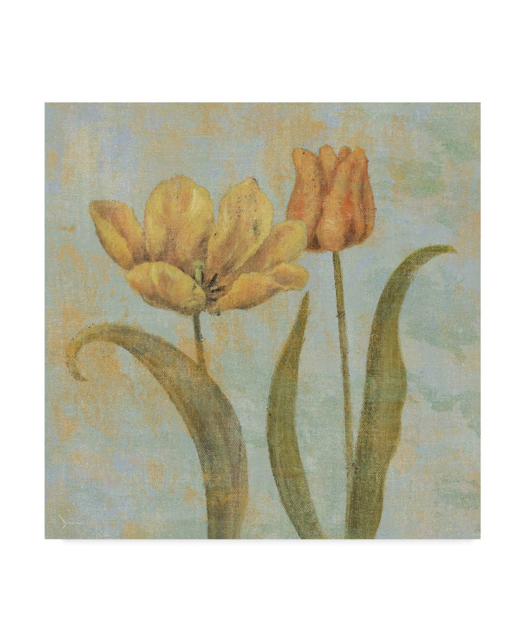 Canvas C29657