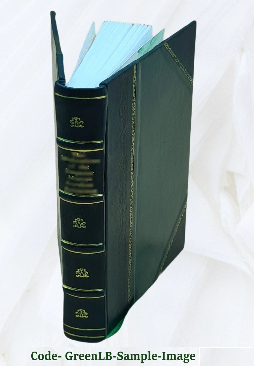 Leather Bound Book T596744
