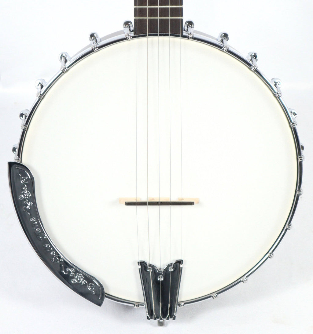 Natural Banjo D881644