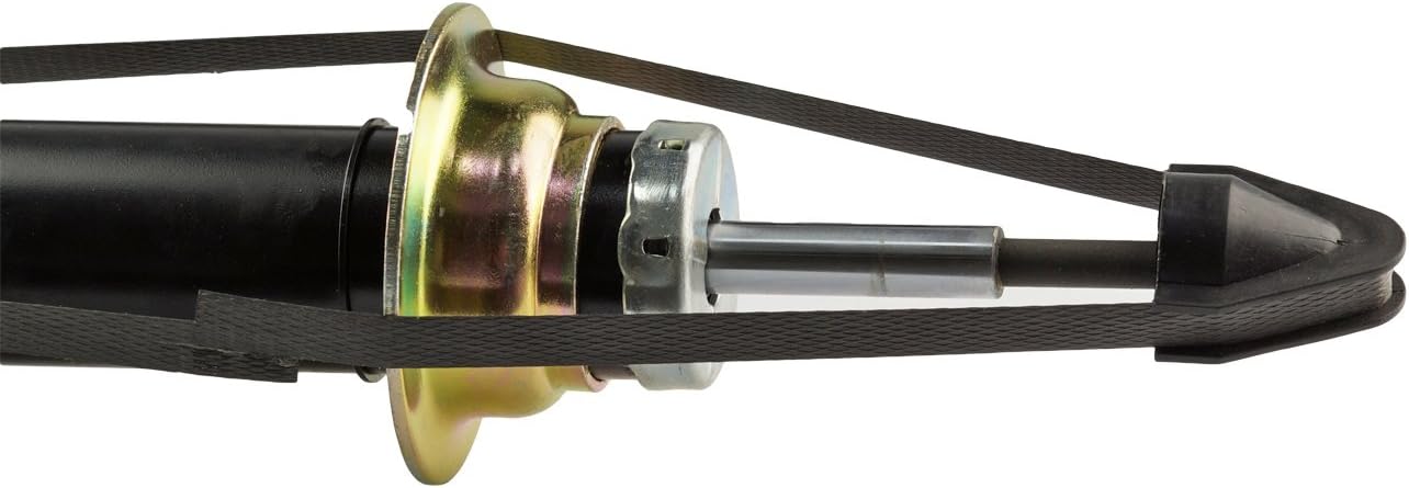 Rear Left + Right Shock Strut Absorber Pack of 2 A332854