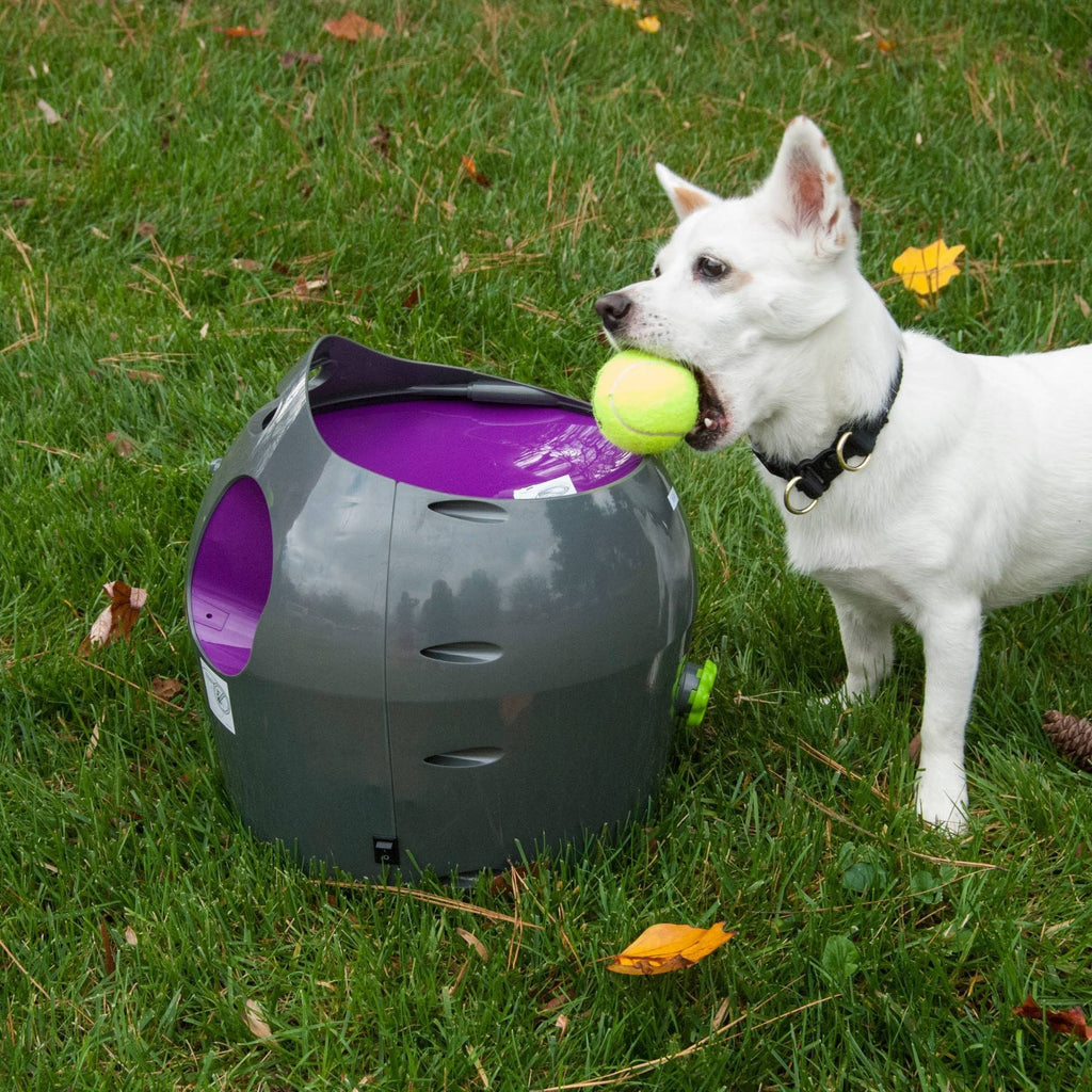 Automatic Ball Launcher J4590