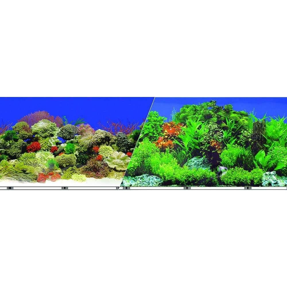 Aquarium Background K353216