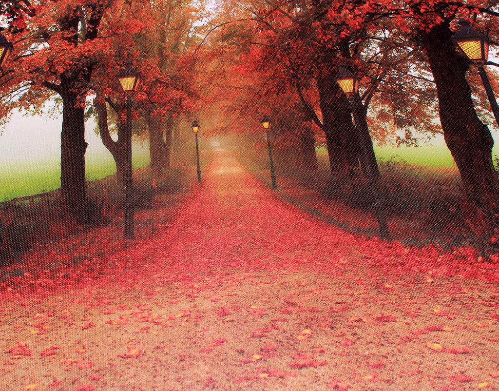Red Maple Forest LED Wall Art Canvas Pictures 15.8x11.8inch D468761