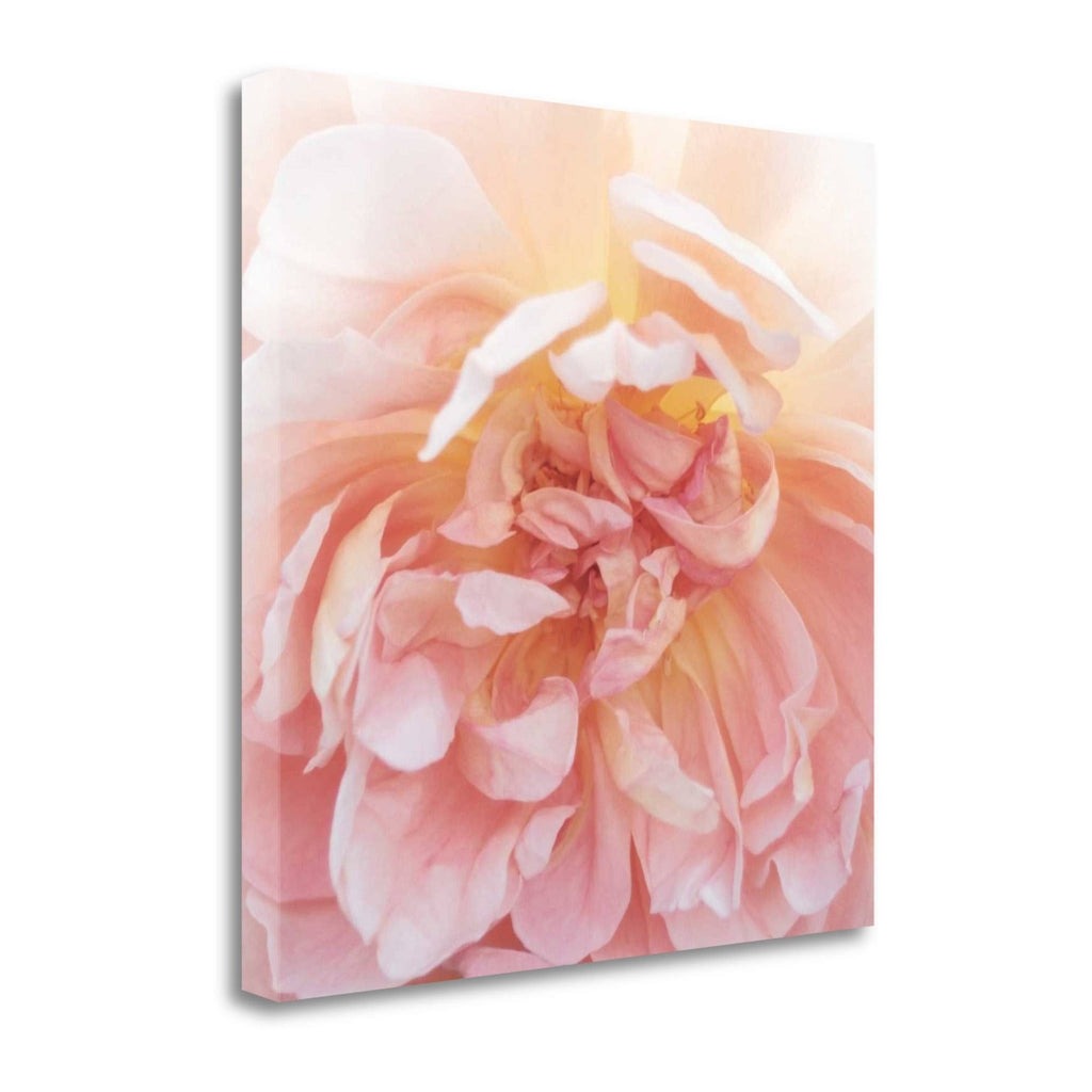 Heavenly Rose Fine Art Giclee Print O199545