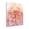 Heavenly Rose Fine Art Giclee Print O199545