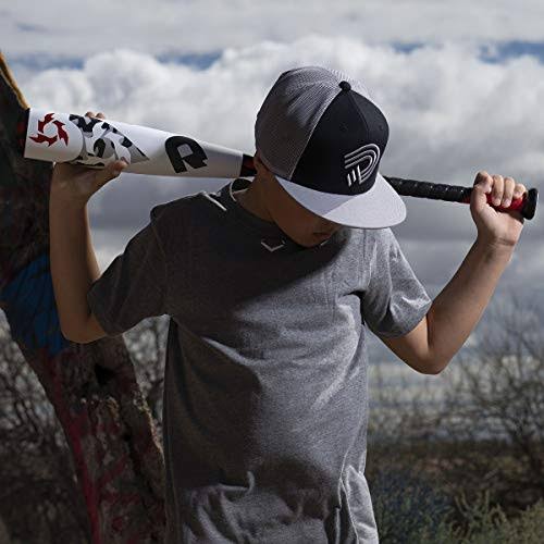 Baseball Bat Z699475