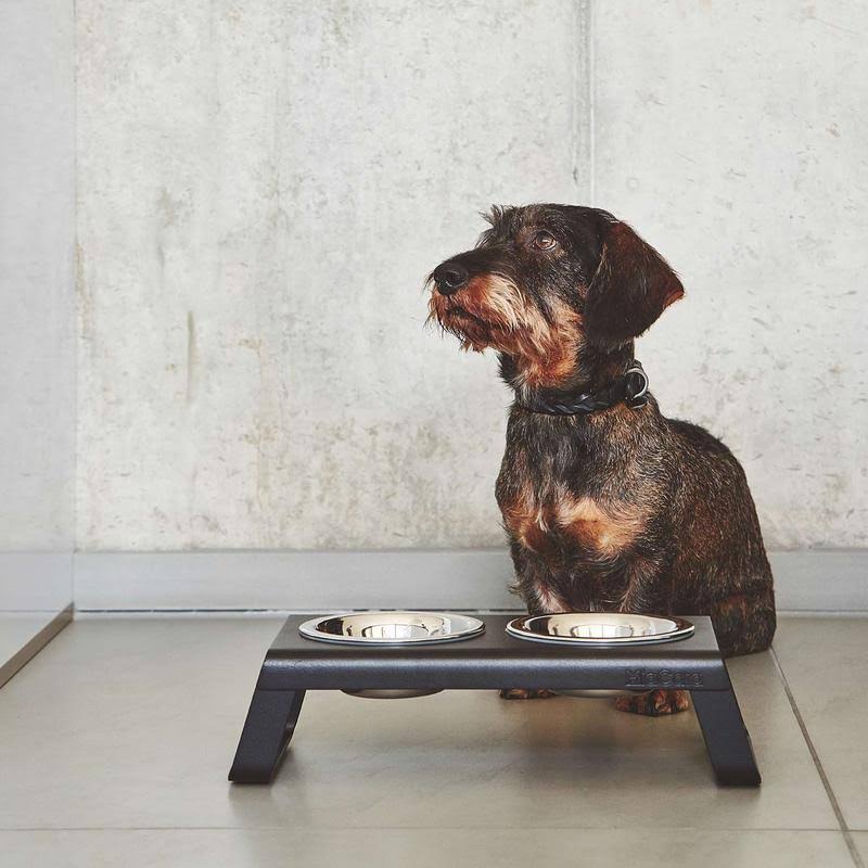 Brown Dog Collar Q550733