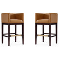 Camel and Dark Walnut Beech Wood Barstool (Set of 2) Z1926