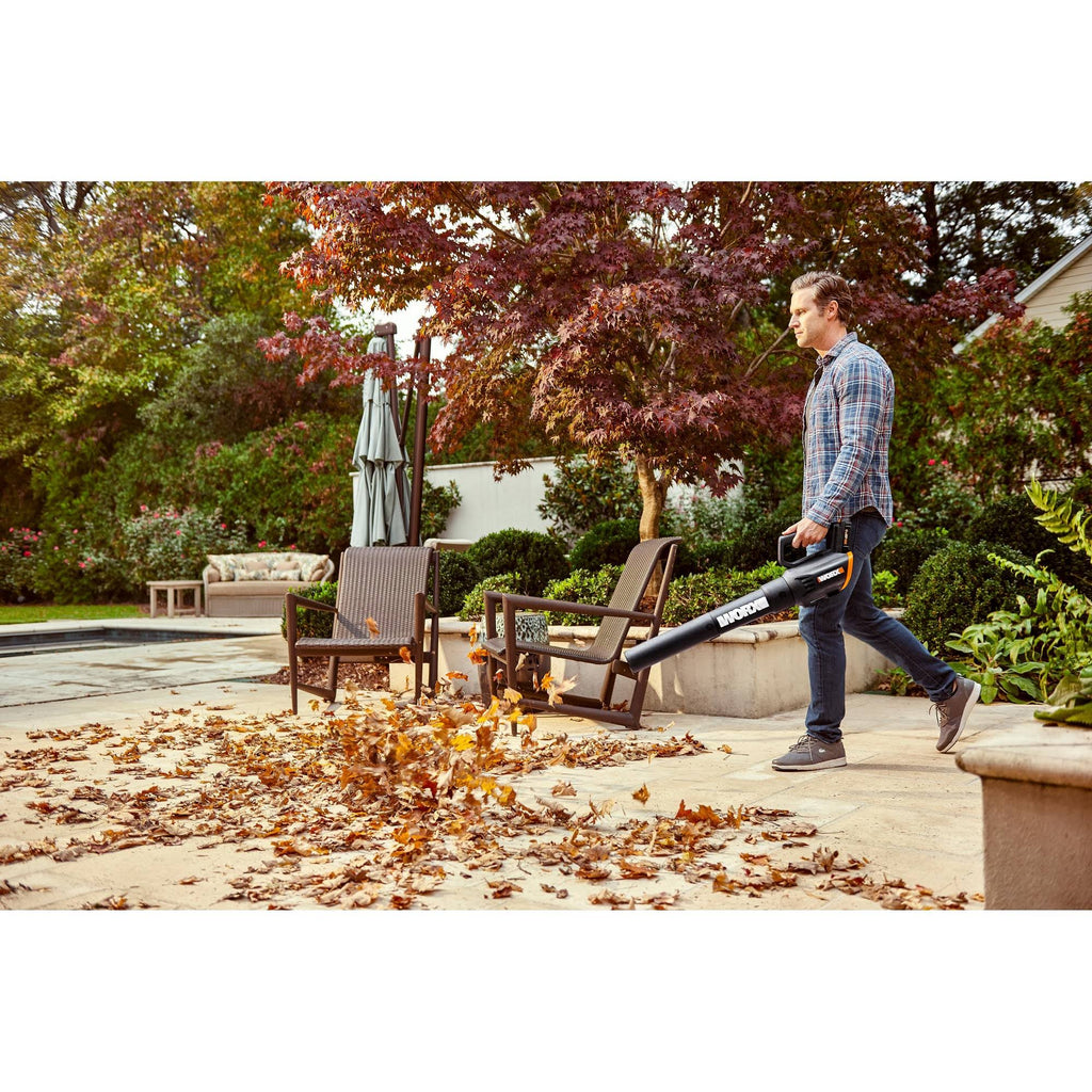 20 Volt Cordless 2 Speed Leaf Blower with 2 Batteries D494