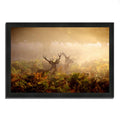 Framed Photograph Print H32686