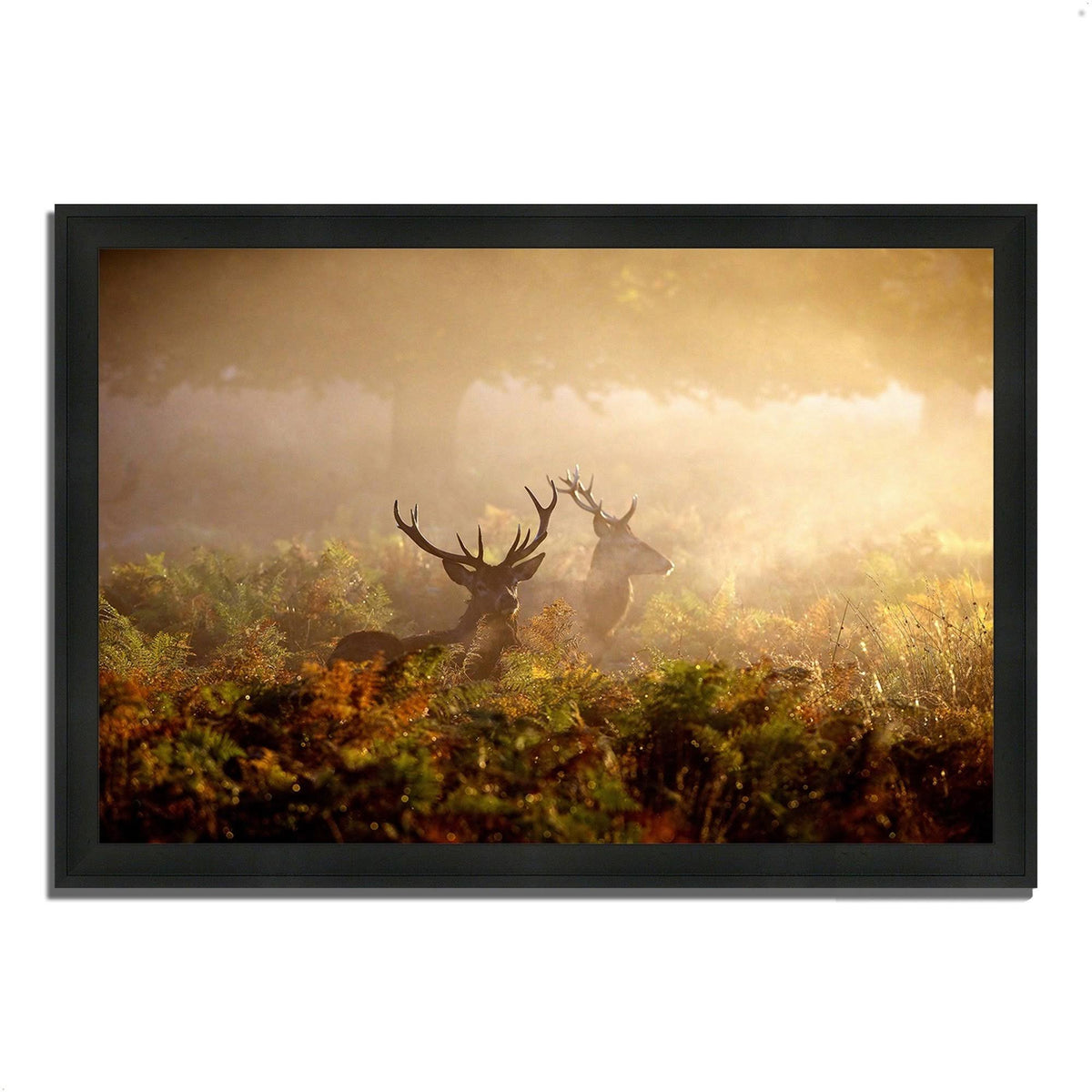 Framed Photograph Print H32686