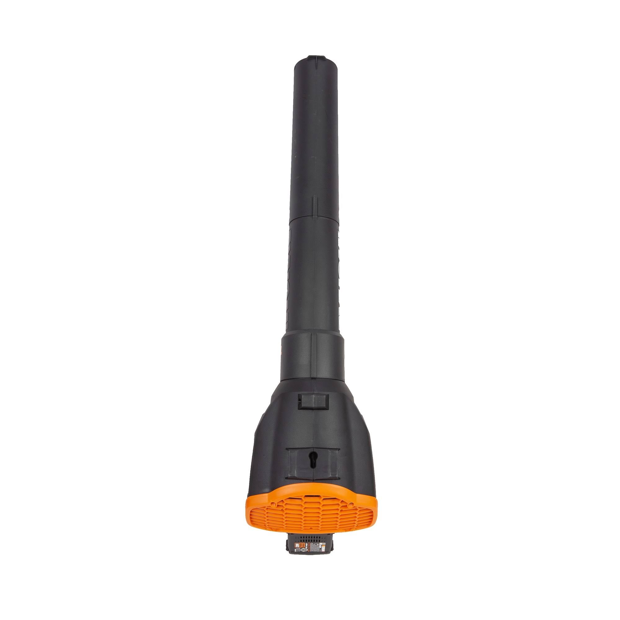 20 Volt Cordless 2 Speed Leaf Blower with 2 Batteries D494