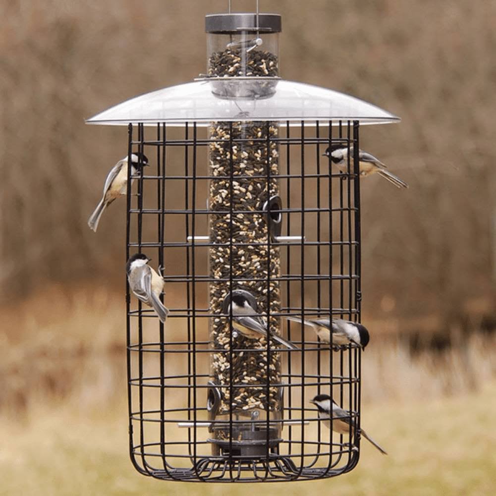 Domed Cage Feeder M6098