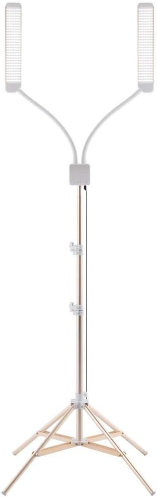 Portable LED Lighting Kit with Five-Stage Dimming (Black) W623