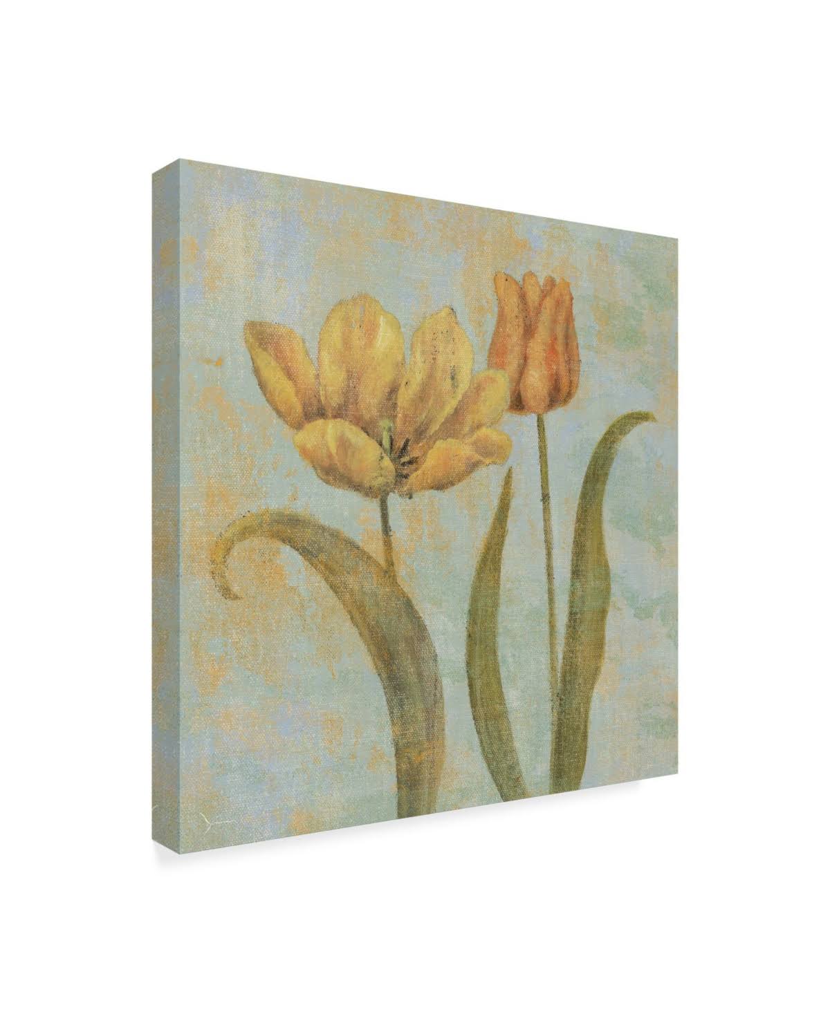 Canvas C29657