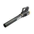 20 Volt Cordless 2 Speed Leaf Blower with 2 Batteries D494
