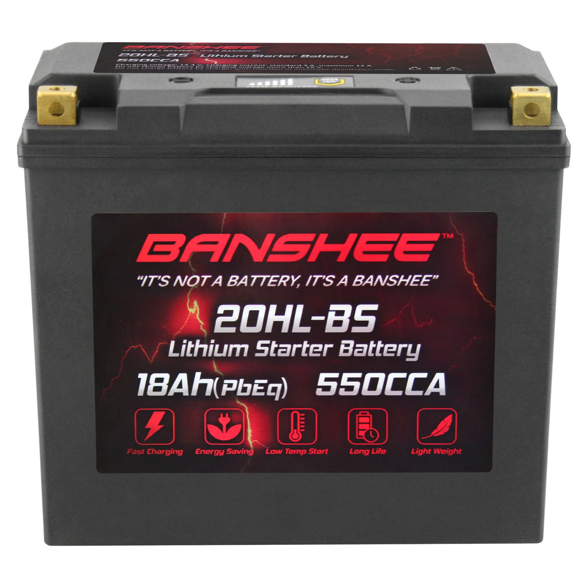 LiFePO4 Motorsports Battery V691