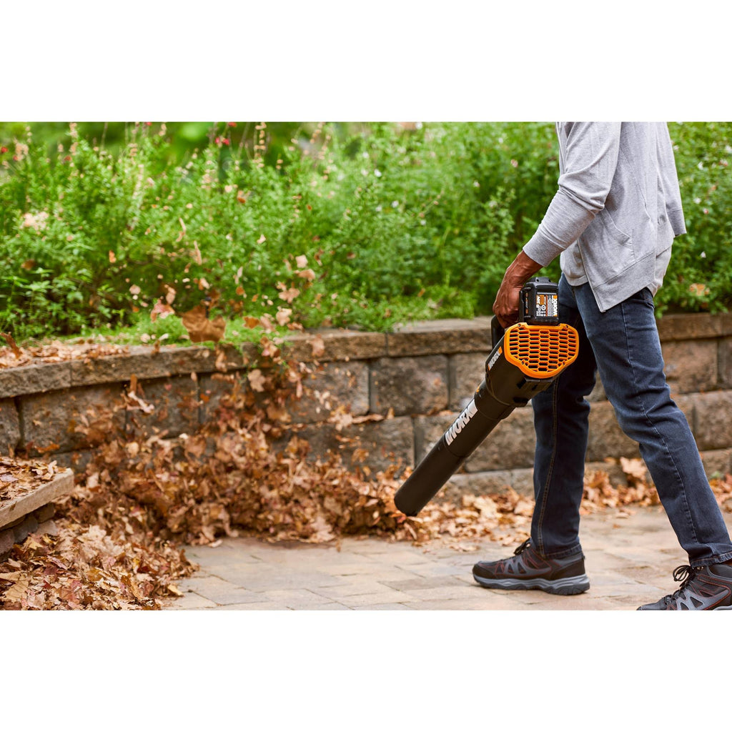 20 Volt Cordless 2 Speed Leaf Blower with 2 Batteries D494