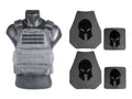 Wolf Gray Body Armor and Plate Carrier Package C24064