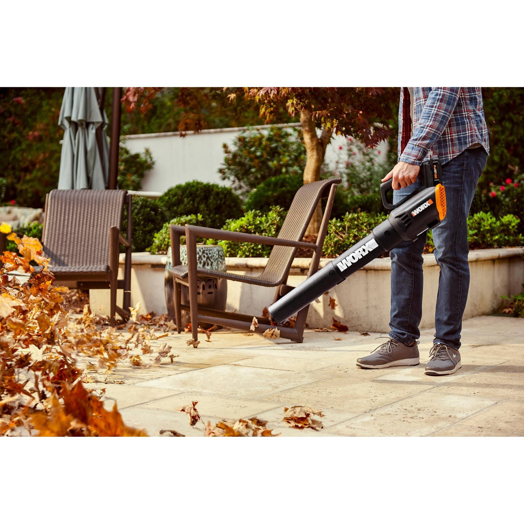 20 Volt Cordless 2 Speed Leaf Blower with 2 Batteries D494