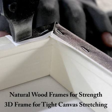 Canvas C29657