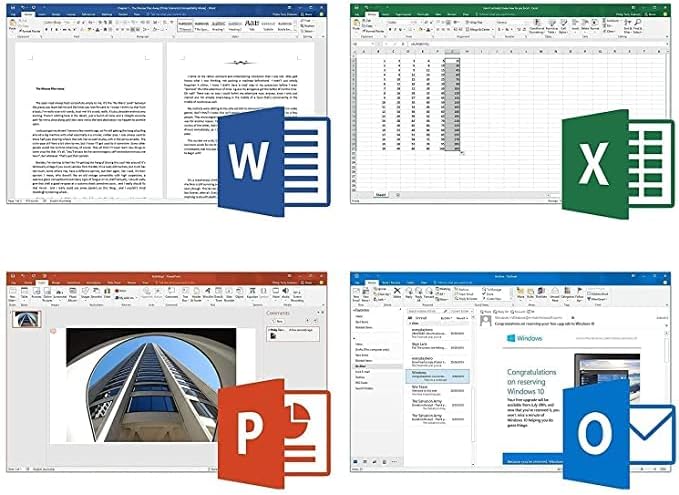Office 2019 Professional Plus for 1 PC, 32/64-bit, Pack of 2 P466481