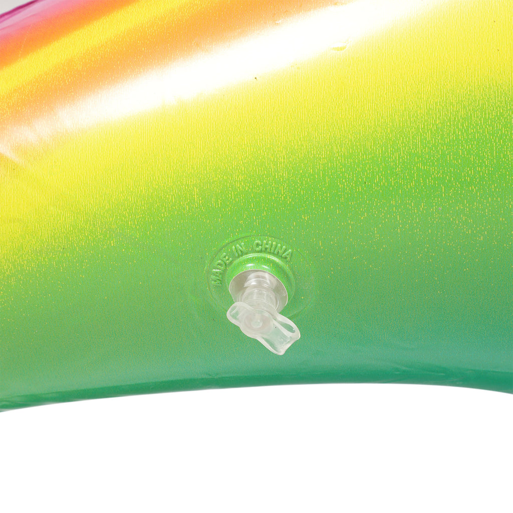 Inflatable Dolphin Toy Beach Pool Toy Q620215