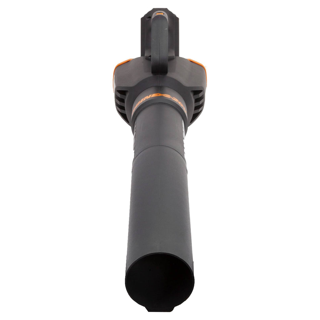 20 Volt Cordless 2 Speed Leaf Blower with 2 Batteries D494