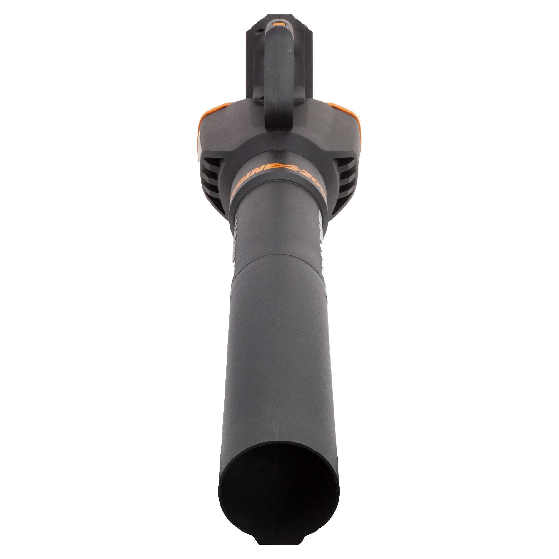 20 Volt Cordless 2 Speed Leaf Blower with 2 Batteries D494