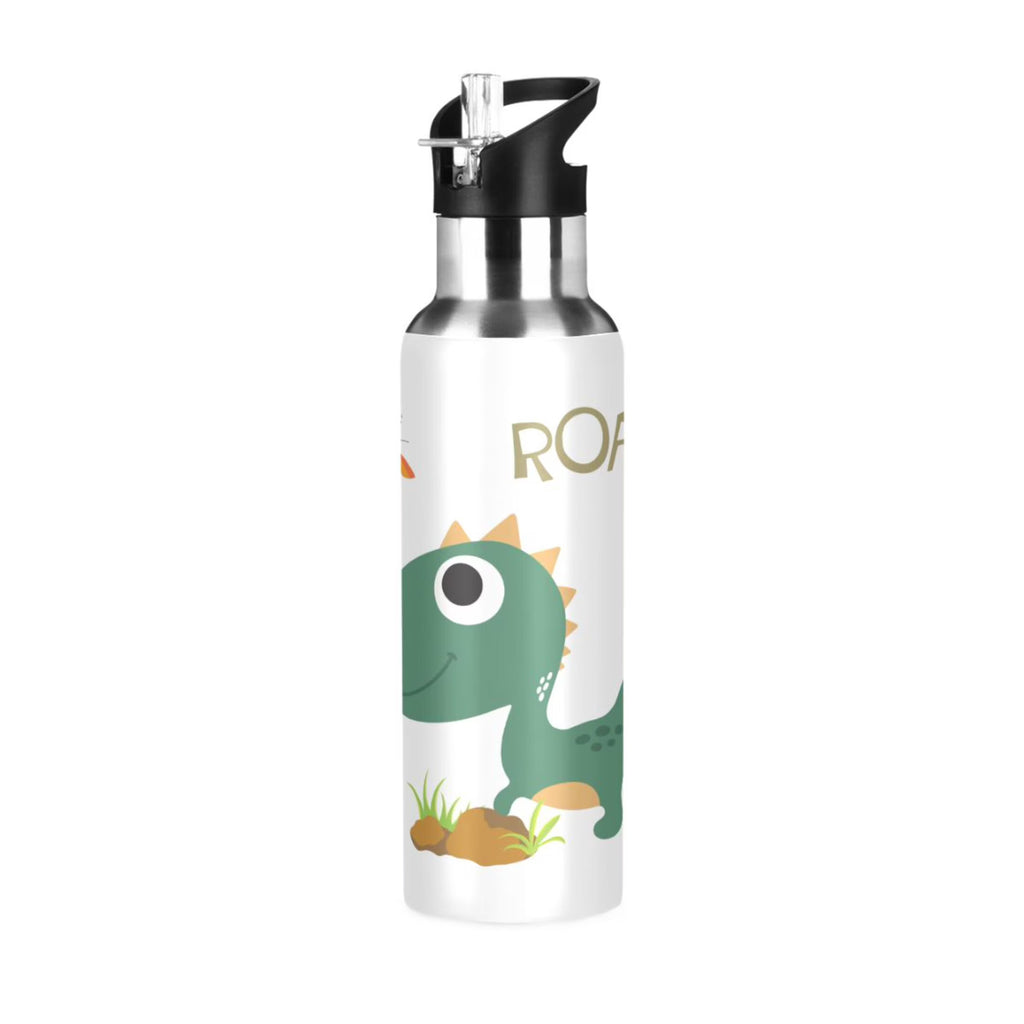 Stainless Steel Insulated Water Bottle with Straw Lid R431901