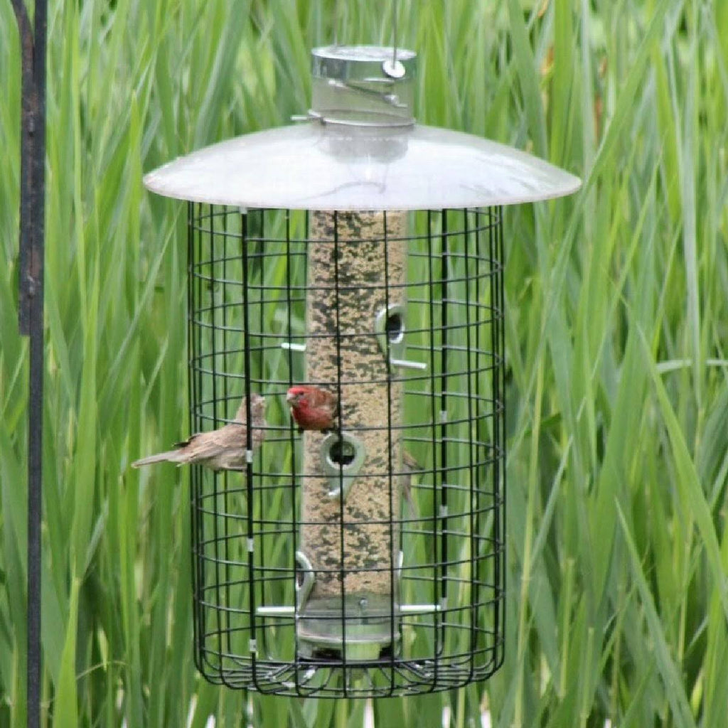 Domed Cage Feeder M6098
