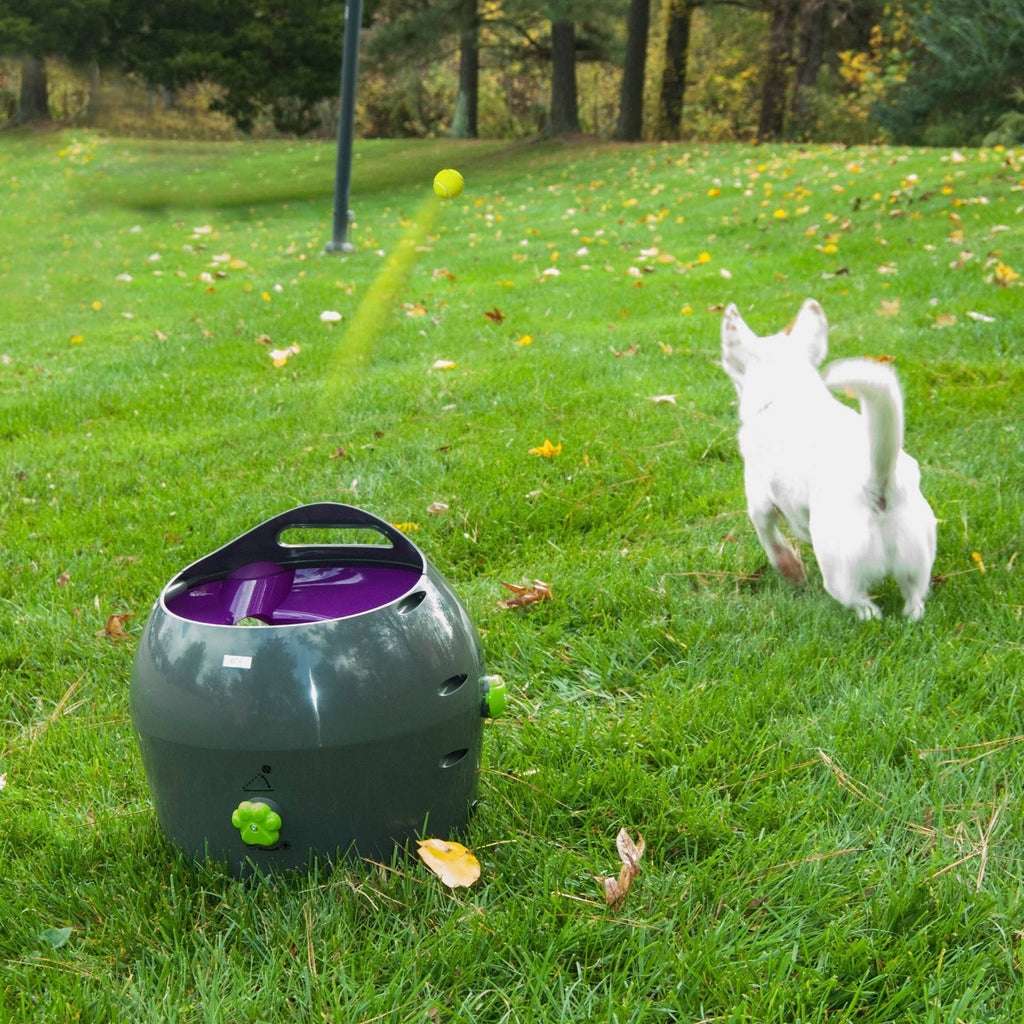 Automatic Ball Launcher J4590